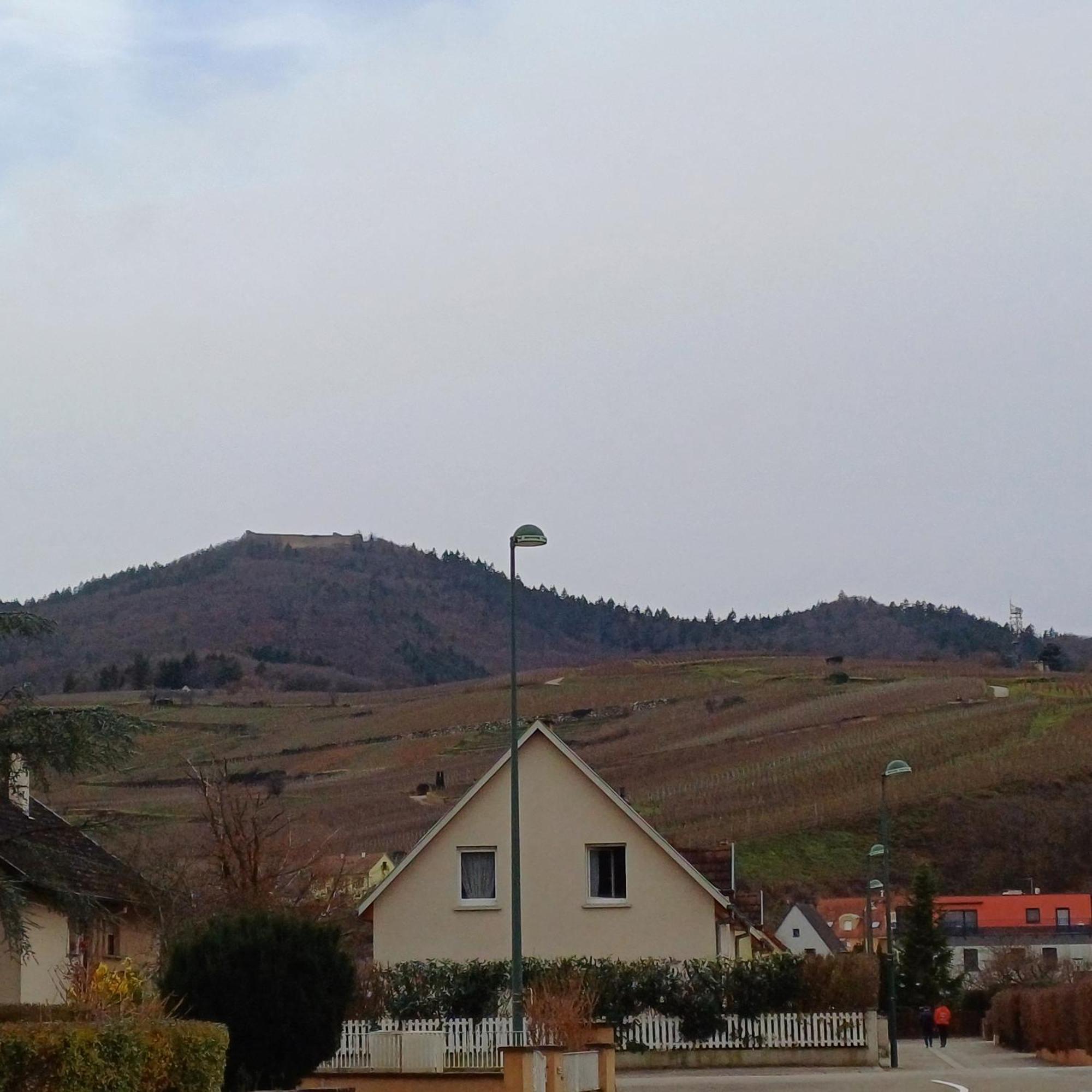 Les Vignobles D'Alsace Hotell Wintzenheim Exteriör bild