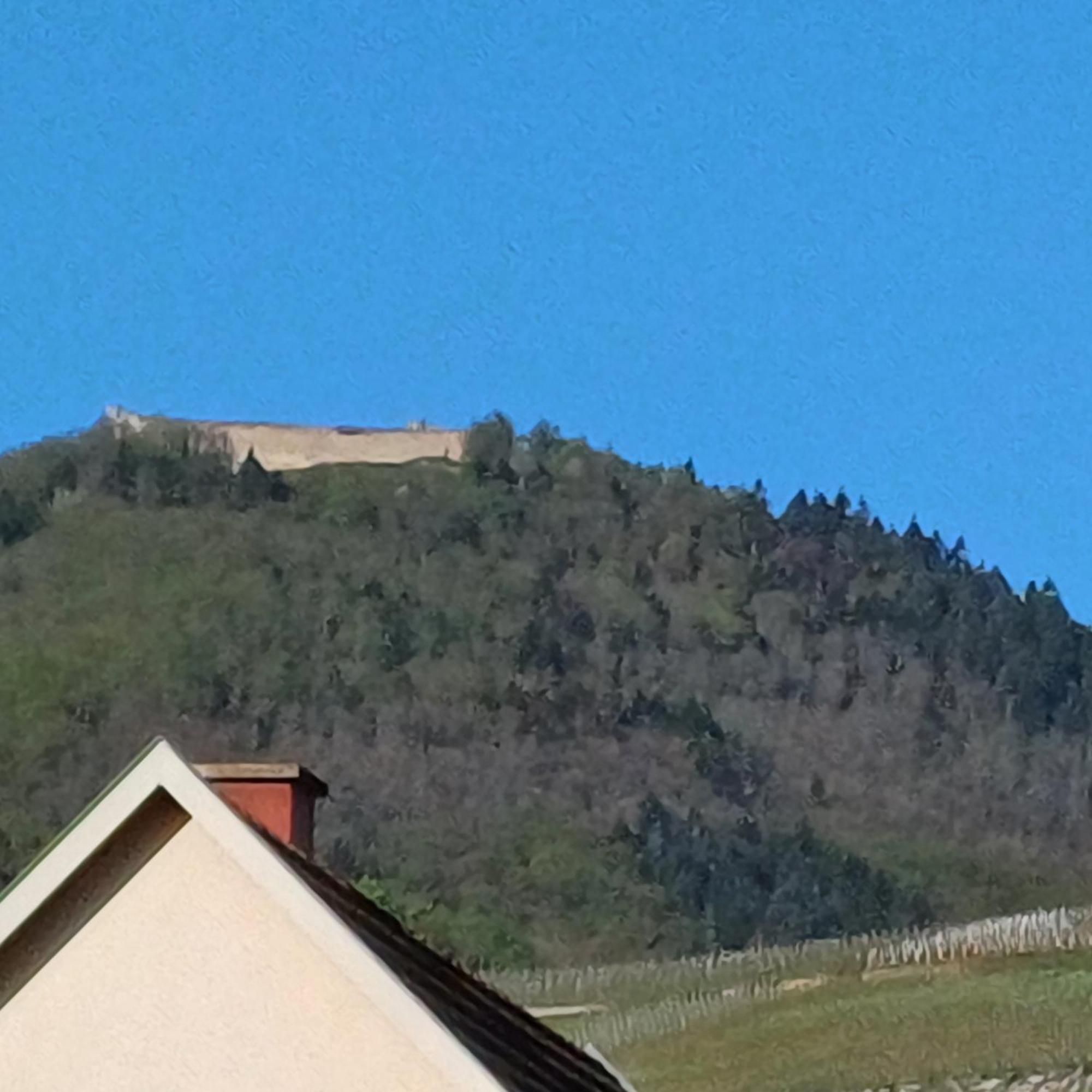 Les Vignobles D'Alsace Hotell Wintzenheim Exteriör bild